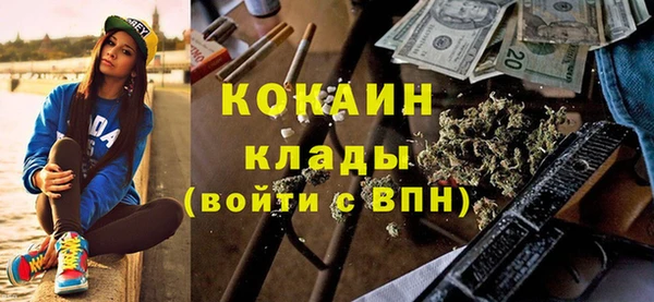 сатива Заводоуковск