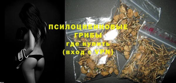 2c-b Зеленодольск