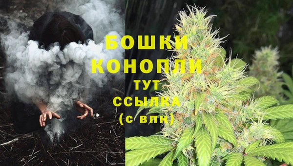 сатива Заводоуковск