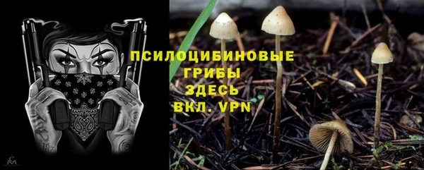 2c-b Зеленодольск